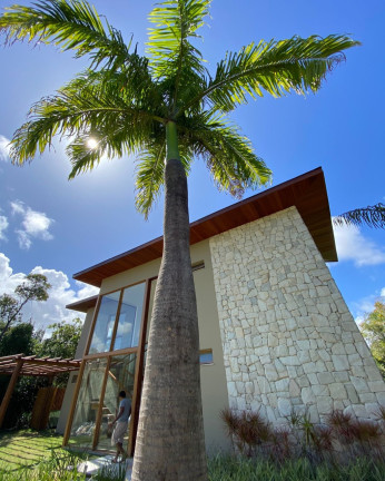 Imagem Casa com 4 Quartos à Venda,  em Praia Do Forte - Mata De São João