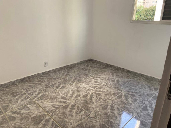 Imagem Apartamento com 3 Quartos à Venda, 61 m² em Vila Moraes - São Paulo