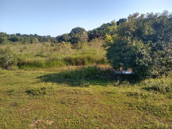 Imagem Imóvel à Venda, 874 m² em Palmeiras - Guaraparia