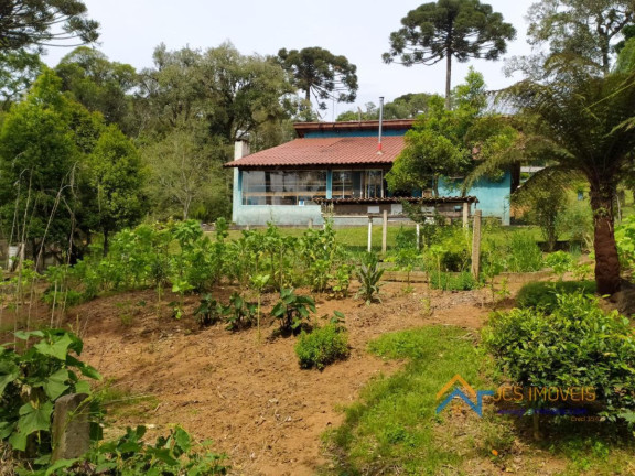 Imagem Chácara com 3 Quartos à Venda, 194 m² em Campestre Da Faxina - São José Dos Pinhais Imagem Chácara com 3 Quartos à Venda, 194 m² em Campestre Da Faxina - São José Dos Pinhais
