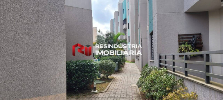 Imagem Apartamento com 2 Quartos à Venda, 48 m² em Jardim ísis - Cotia Imagem Apartamento com 2 Quartos à Venda, 48 m² em Jardim ísis - Cotia