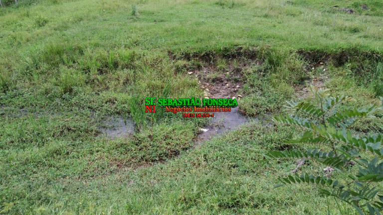 Imagem Fazenda à Venda, 65 m² em Centro - Cunha Imagem Fazenda à Venda, 65 m² em Centro - Cunha