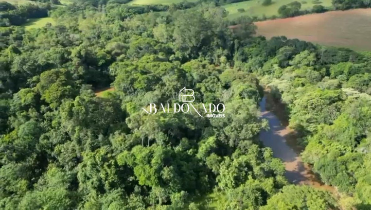 Imagem Terreno à Venda, 32.800 m² em Centro - Vargem