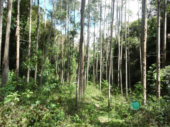Imagem Imóvel à Venda, em Zona Rural - Alfredo Wagner Imagem Imóvel à Venda, em Zona Rural - Alfredo Wagner