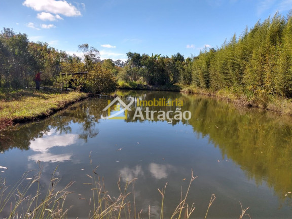 Imagem Imóvel com 2 Quartos à Venda, 33.000 m² em Ipelândia - Suzano Imagem Imóvel com 2 Quartos à Venda, 33.000 m² em Ipelândia - Suzano