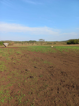Imagem Fazenda à Venda, 787 m² em Nova Xavantina Imagem Fazenda à Venda, 787 m² em Nova Xavantina