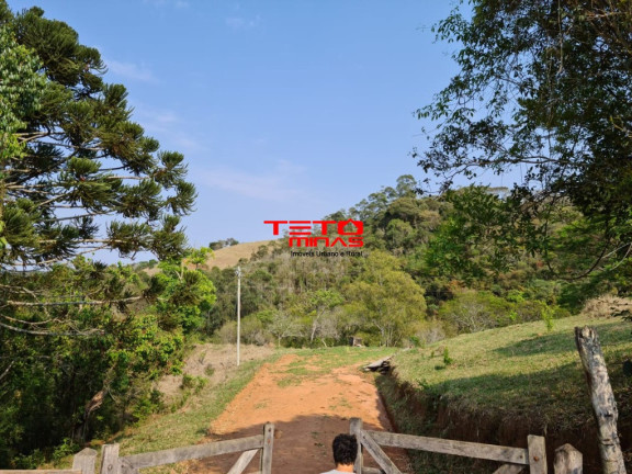 Imagem Imóvel com 2 Quartos à Venda, em Zona Rural De Pouso Alto Mg - Pouso Alto Imagem Imóvel com 2 Quartos à Venda, em Zona Rural De Pouso Alto Mg - Pouso Alto