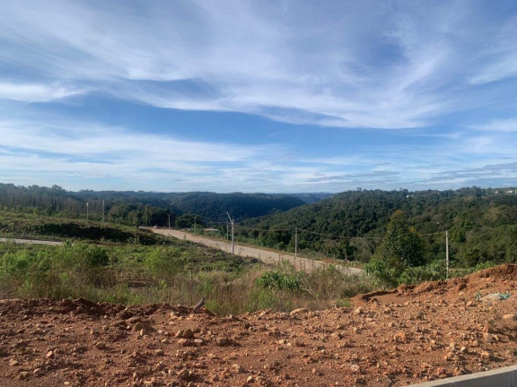Imagem Terreno à Venda, 293 m² em Sao Roque - Bento Gonçalves