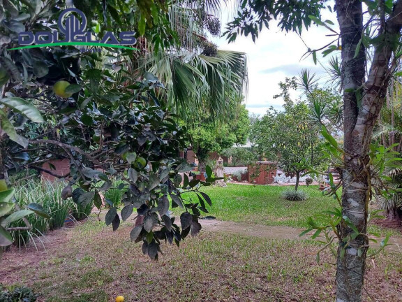 Imagem Casa com 3 Quartos à Venda, 600 m² em águas Claras - Viamão