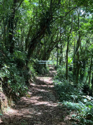 Imagem Terreno à Venda, 33.490 m² em Ponta Grossa - Ubatuba