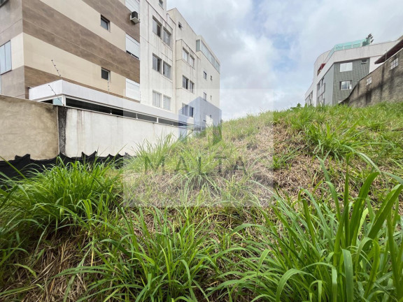 Imagem Terreno à Venda, 362 m² em Fernão Dias - Belo Horizonte Imagem Terreno à Venda, 362 m² em Fernão Dias - Belo Horizonte