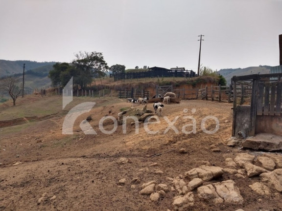 Imagem Fazenda à Venda, 90 m² em Zona Rural - São Luíz Do Paraitinga