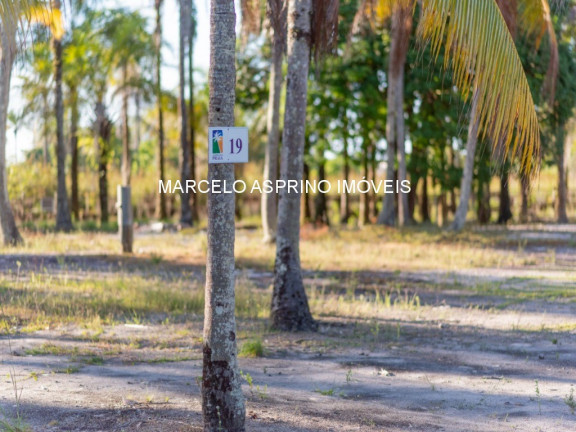 Imagem Imóvel à Venda, em Ilha De Contrato - Igrapiúna Imagem Imóvel à Venda, em Ilha De Contrato - Igrapiúna