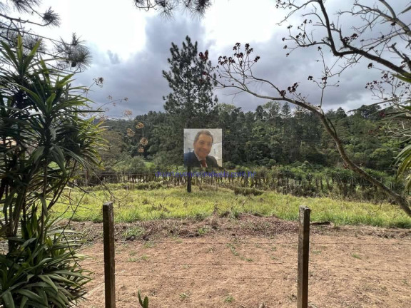 Imagem Terreno à Venda, 18.455 m² em Taboleiro Verde - Cotia Imagem Terreno à Venda, 18.455 m² em Taboleiro Verde - Cotia