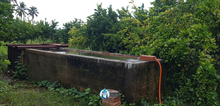 Imagem Imóvel com 2 Quartos à Venda, 100 m² em Capivari - Duque De Caxias