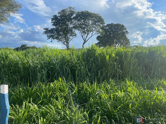 Imagem Imóvel à Venda, 1.255.000 m² em Centro - Campina Verde