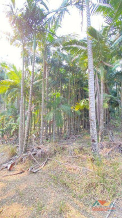 Imagem Terreno à Venda, 5.300 m² em Espírito Santo - Paraibuna