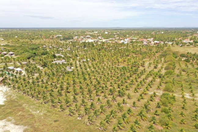 Imagem Terreno à Venda, 4.700 m² em Praia Do Preá - Cruz