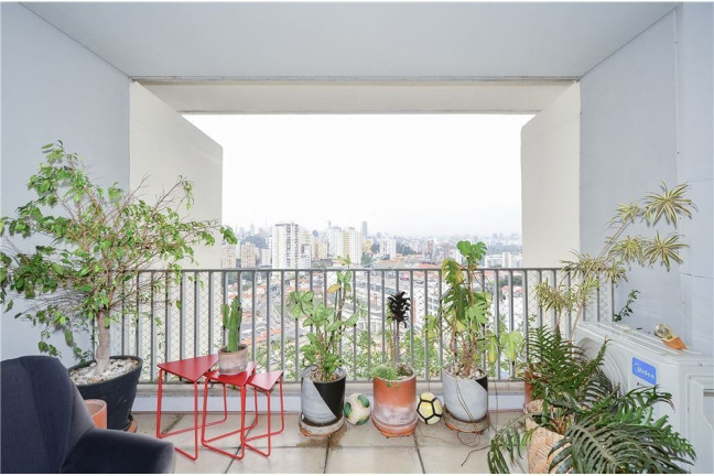 Imagem Apartamento com 2 Quartos à Venda, 127 m² em Vila Ipojuca - São Paulo