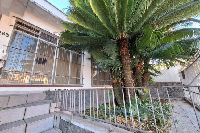 Imagem Casa com 3 Quartos à Venda, 131 m² em Vila Isolina Mazzei - São Paulo Imagem Casa com 3 Quartos à Venda, 131 m² em Vila Isolina Mazzei - São Paulo