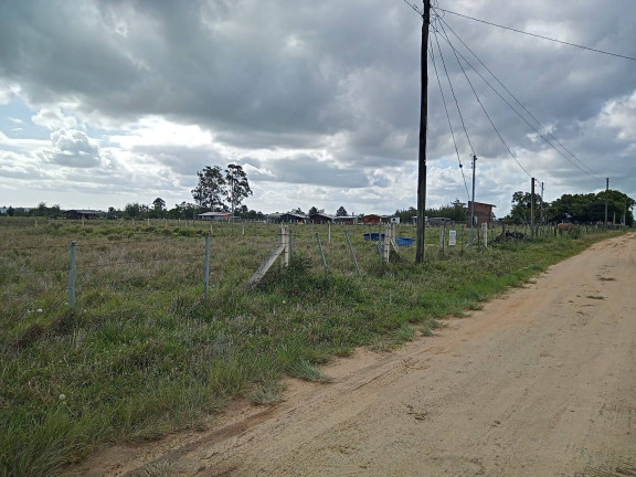 Imagem Chácara com 2 Quartos à Venda, 7.500 m² em Morro Grande - Viamão