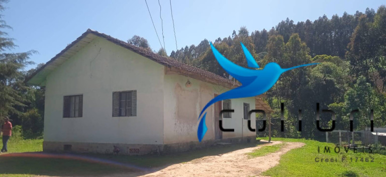 Imagem Chácara com 3 Quartos à Venda, 10.300 m² em Agua Clara - Quitandinha Imagem Chácara com 3 Quartos à Venda, 10.300 m² em Agua Clara - Quitandinha