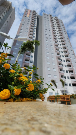 Imagem Apartamento com 2 Quartos à Venda, 58 m² em Campestre - Santo André