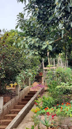 Imagem Chácara com 4 Quartos à Venda, 1.700 m² em Jardim Cananéia - Pilar Do Sul Imagem Chácara com 4 Quartos à Venda, 1.700 m² em Jardim Cananéia - Pilar Do Sul