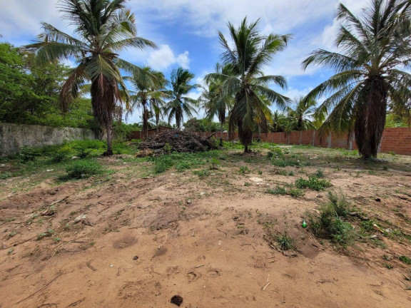 Imagem Terreno à Venda, 345 m² em Cabeceiras - Tibau Do Sul Imagem Terreno à Venda, 345 m² em Cabeceiras - Tibau Do Sul