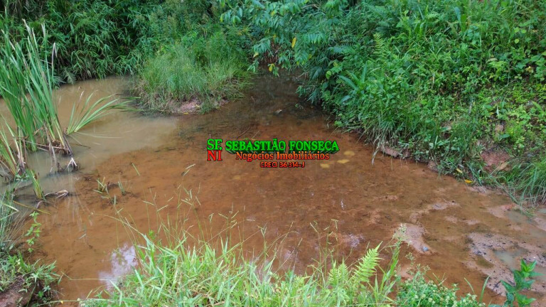 Imagem Fazenda à Venda, 65 m² em Centro - Cunha Imagem Fazenda à Venda, 65 m² em Centro - Cunha
