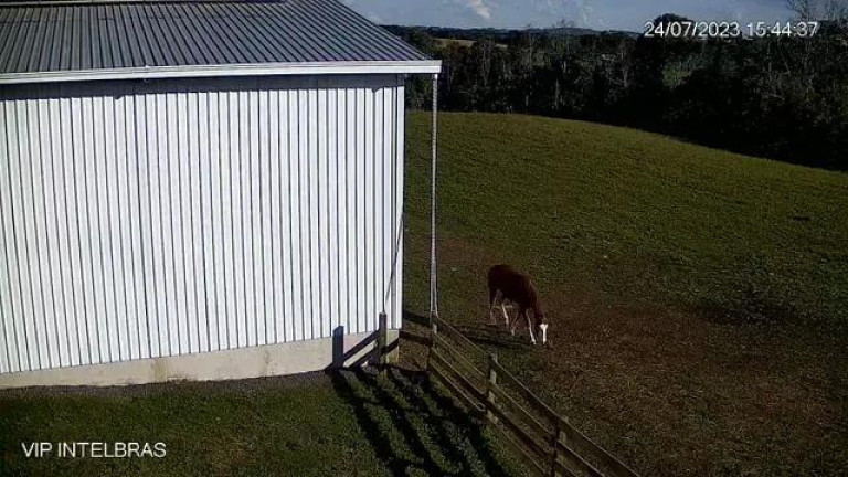 Imagem Imóvel com 4 Quartos à Venda, 206.533 m² em Riozinho De Baixo - Rebouças Imagem Imóvel com 4 Quartos à Venda, 206.533 m² em Riozinho De Baixo - Rebouças