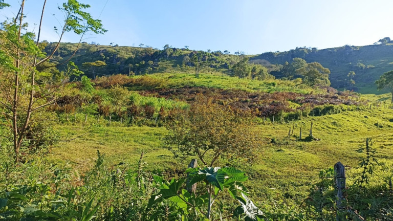 Imagem Fazenda à Venda, 100 m² em Espírito Santo - Paraibuna Imagem Fazenda à Venda, 100 m² em Espírito Santo - Paraibuna