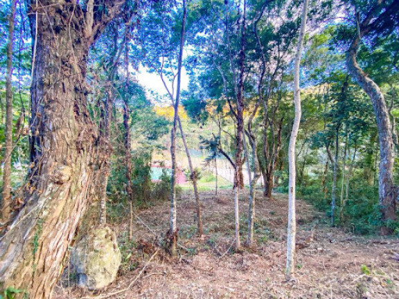 Imagem Terreno à Venda, 322 m² em Vargem Grande - Teresópolis Imagem Terreno à Venda, 322 m² em Vargem Grande - Teresópolis