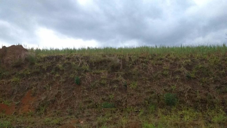 Terreno à Venda, 1.050 m² em Alto Da Ponte - São José Dos Campos