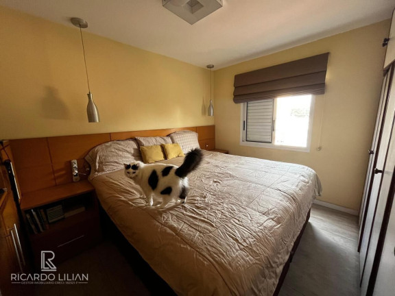 Imagem Apartamento com 2 Quartos à Venda, 70 m² em Vila Guarani (z Sul) - São Paulo Imagem Apartamento com 2 Quartos à Venda, 70 m² em Vila Guarani (z Sul) - São Paulo