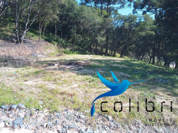 Imagem Terreno à Venda, 1.820 m² em Leão - Agudos Do Sul Imagem Terreno à Venda, 1.820 m² em Leão - Agudos Do Sul