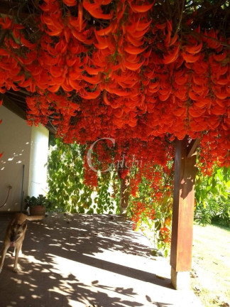 Imagem Chácara com 3 Quartos à Venda, 27 m² em área Rural De Casa Branca - Casa Branca Imagem Chácara com 3 Quartos à Venda, 27 m² em área Rural De Casa Branca - Casa Branca