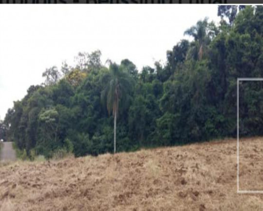 Imagem Imóvel à Venda, em Pinhal Alto - Nova Petrópolis Imagem Imóvel à Venda, em Pinhal Alto - Nova Petrópolis