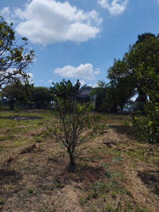Imagem Chácara com 1 Quarto à Venda, 1.200 m² em Jardim Cananéia - Pilar Do Sul Imagem Chácara com 1 Quarto à Venda, 1.200 m² em Jardim Cananéia - Pilar Do Sul