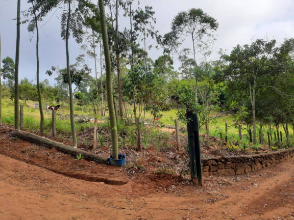Imagem Chácara à Venda, 20 m² em água Comprida - Bragança Paulista Imagem Chácara à Venda, 20 m² em água Comprida - Bragança Paulista
