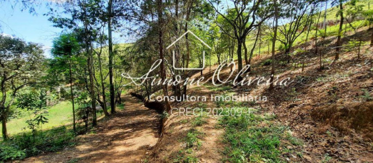 Imagem Chácara com 4 Quartos à Venda, 27.000 m² em Campinas - Pindamonhangaba Imagem Chácara com 4 Quartos à Venda, 27.000 m² em Campinas - Pindamonhangaba