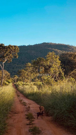 Imagem Chácara à Venda, 48.400 m² em Zona Rural - Pirenópolis Imagem Chácara à Venda, 48.400 m² em Zona Rural - Pirenópolis