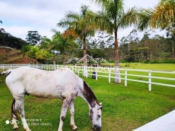 Imagem Chácara com 4 Quartos à Venda, 17.000 m² em Cachoeirinha - Bom Jesus Dos Perdões