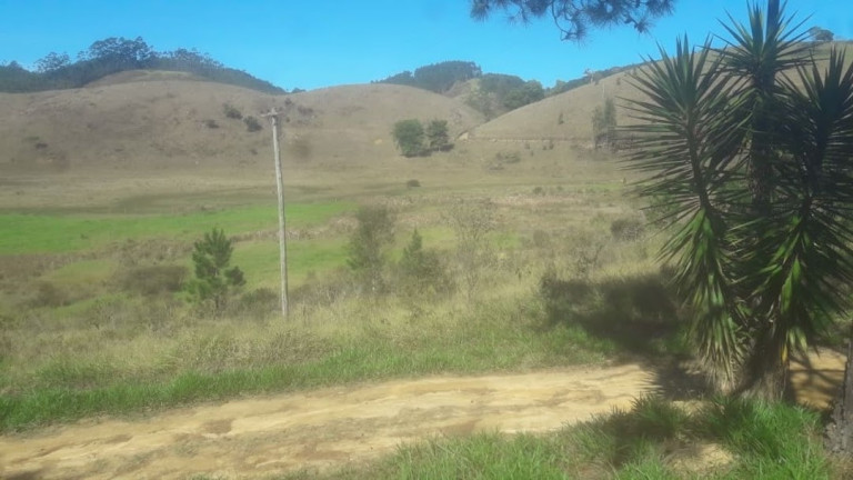 Imagem Chácara com 10 Quartos à Venda, 100 m² em Cedro - Paraibuna Imagem Chácara com 10 Quartos à Venda, 100 m² em Cedro - Paraibuna