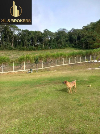 Imagem Imóvel com 3 Quartos à Venda, 26.000 m² em Quitandinha - Quitandinha Imagem Imóvel com 3 Quartos à Venda, 26.000 m² em Quitandinha - Quitandinha