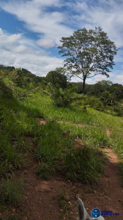 Imagem Fazenda à Venda, 59 m² em Zona Rural - Morro Agudo De Goiás Imagem Fazenda à Venda, 59 m² em Zona Rural - Morro Agudo De Goiás
