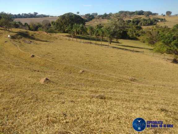 Imagem Chácara à Venda, 24 m² em Zona Rural - Santa Rosa De Goiás Imagem Chácara à Venda, 24 m² em Zona Rural - Santa Rosa De Goiás