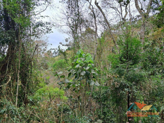 Imagem Chácara com 2 Quartos à Venda, 100 m² em Zona Rural - Paraibuna