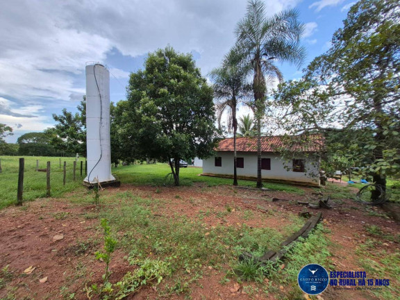 Imagem Chácara à Venda, 6 m² em Zona Rural - Hidrolândia Imagem Chácara à Venda, 6 m² em Zona Rural - Hidrolândia