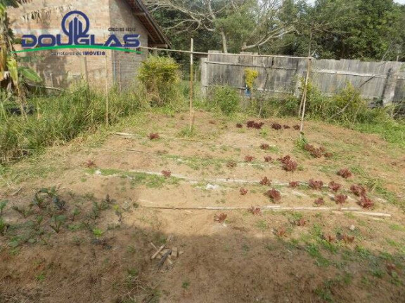 Imagem Casa com 2 Quartos à Venda, 600 m² em Viamão Imagem Casa com 2 Quartos à Venda, 600 m² em Viamão